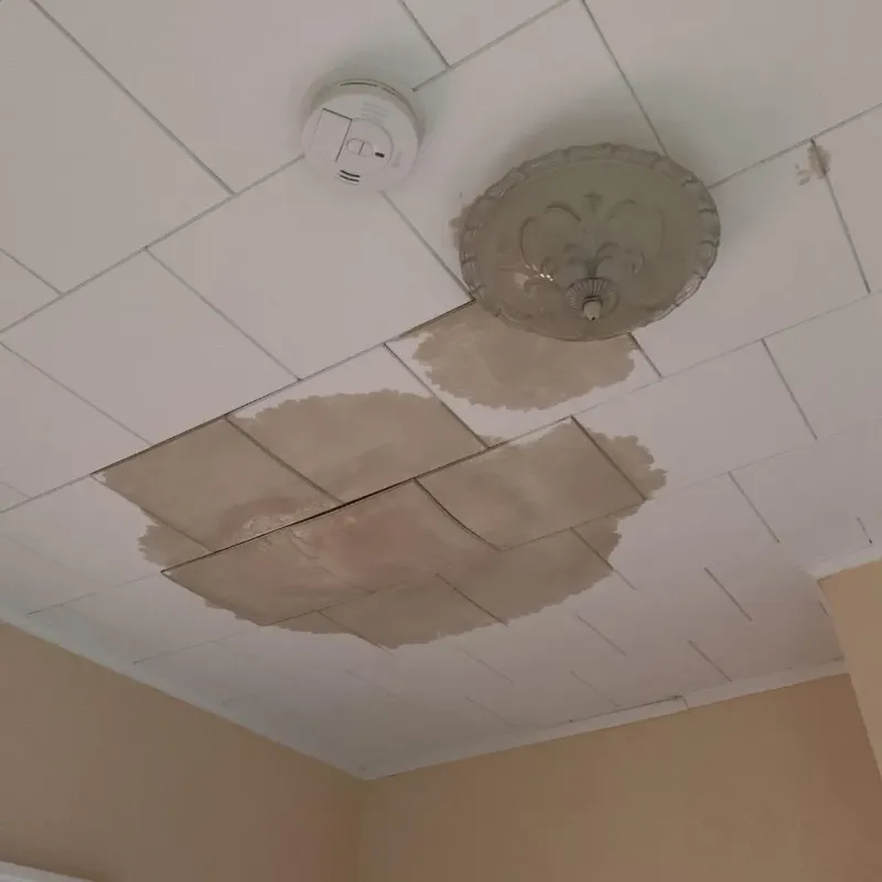 Ceiling Water Damage Repair in Limestone Creek, FL
