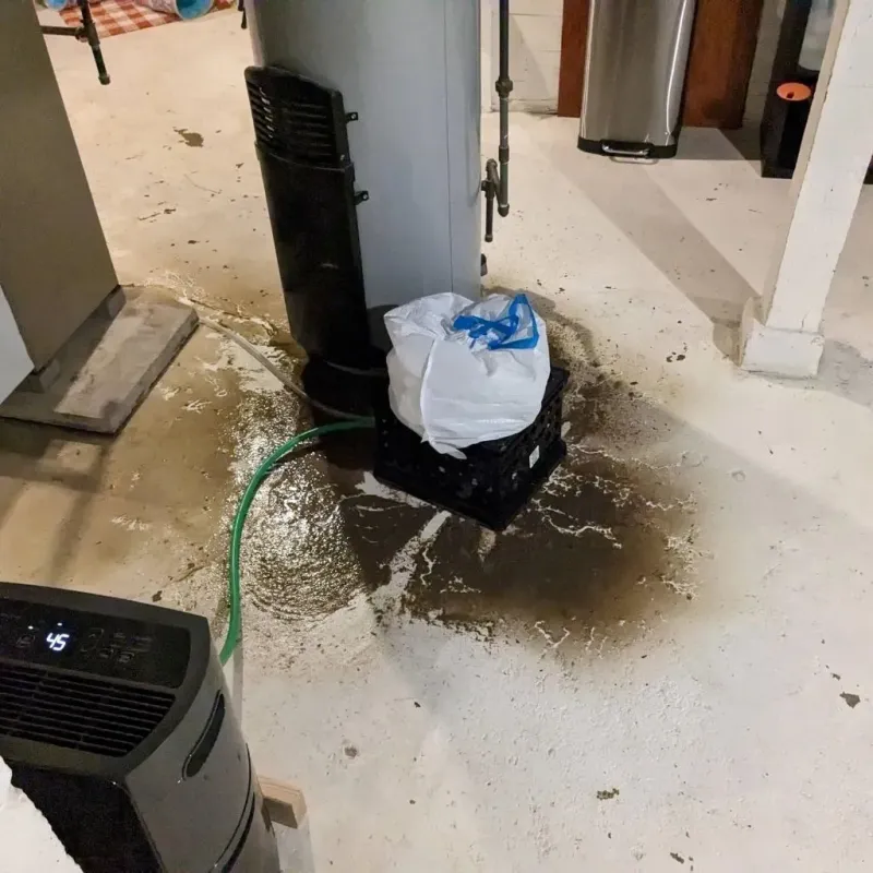 Sewage Backup Cleanup Service in Limestone Creek, FL